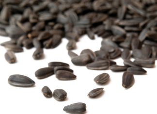 SEED – stay on the right side of the law