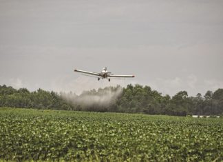 Risk of high South African MRLs on grain exports