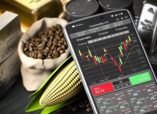 Commodity price scenarios that grain producers can expect in the next season