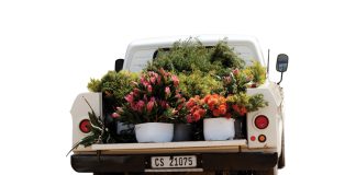 NAMPO-ervaring MET ’N KAAPSE GEUR