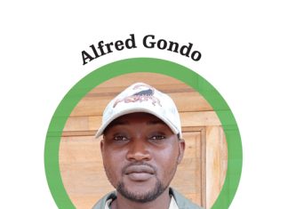 Passion and knowledge lead to success