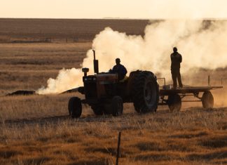 Eis só by Vergoedingsfonds vir BESERINGS AAN DIENS