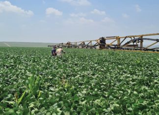 Spuitpunte se effektiwiteit wissel, toon onlangse evaluering