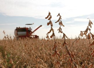 DATA ON PRODUCER DELIVERIES compared to crop estimates