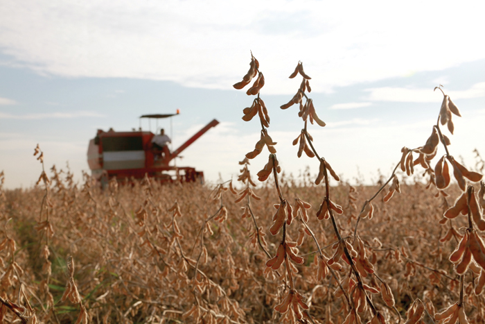 DATA ON PRODUCER DELIVERIES compared to crop estimates