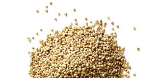 Plaaslike sorghum teen ’n internasionale maatstaf