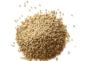 Plaaslike sorghum teen ’n internasionale maatstaf