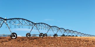 Dié agronomiese en ekonomiese uitdagings pla