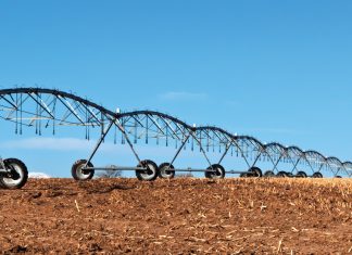 Dié agronomiese en ekonomiese uitdagings pla