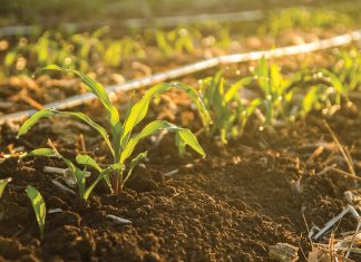 Grondbeginsels vir doeltreffende PRESISIEBESPROEIING