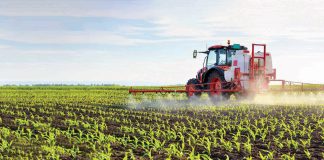 Hoe kies ’n mens tussen chemiese en meganiese onkruidbeheer?