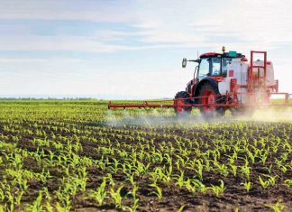 Hoe kies ’n mens tussen chemiese en meganiese onkruidbeheer?