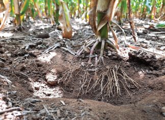 OU KUNSMISPRAKTYKE moet by NUWE WERKLIKHEDE AANPAS