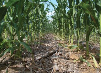 BEWARINGSLANDBOU: Praktyke gedefinieer