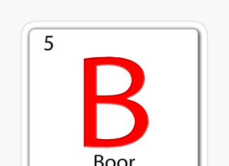 Belangrikheid en veiligheid van boor in gewasproduksie