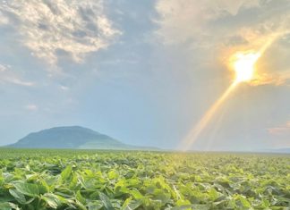 Goeie beplanningvorm die resep vir sukses