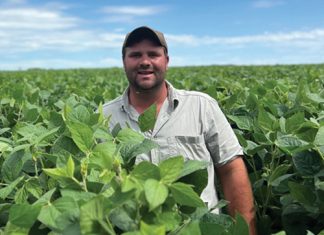 Sojaboonproef werp vrugte af