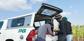 Quick identification can safeguard your crop