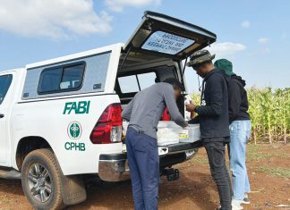 Quick identification can safeguard your crop