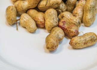 Applying innovative research to fight aflatoxins in groundnuts