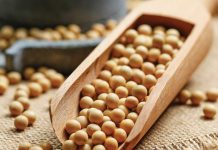 HOE EFFEKTIEF IS DIE teling-en-tegnologieheffing op sojabone?