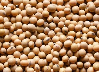 SOJABOON-DIFFERENSIAAL: Hoe presteer die alternatiewe model?