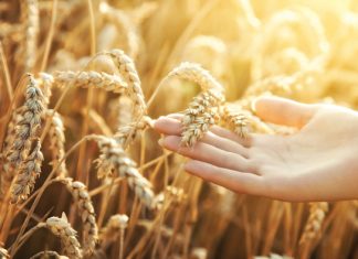 Werkgroep voer gesprek met saadmanne