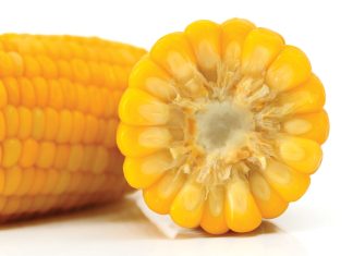 Wat om te verwag van markte in die nuwe seisoen