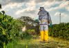 What is a restricted agricultural remedy and how to comply?