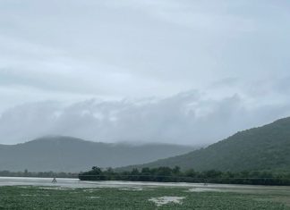 VLOEDE VERWOES: daadwerklike ingryping nodig