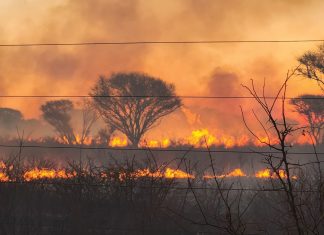 VELDBRANDE: produsente se wintersport