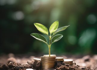 What does the increase of the minimum wage mean to producers?