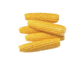 SAADPRYSE VIR SOMERGRAAN: 2025