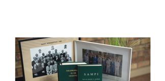 Ryk geskiedenis plavei die toekomspad