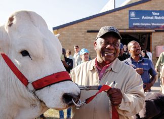 Vee-afdeling lok selfs SA PRESIDENT