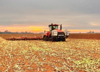 Graanprodusent van die Jaar deel suksesverhaal
