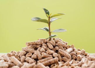 Bemestingspraktyke is bepalend vir opbrengs