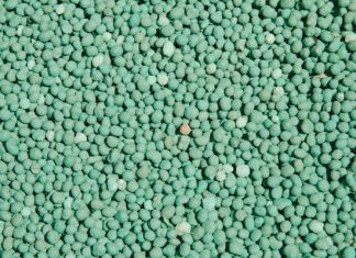 Die feite vir 2024: Wat is in jou sak kunsmis, kalk of gips?