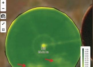 NDVI: sleutel tot jou boerdery se volle potensiaal