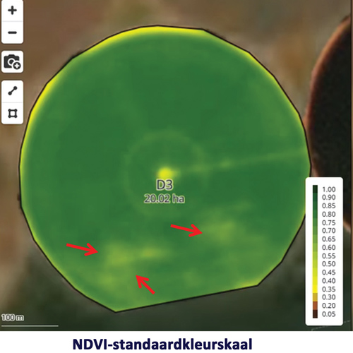NDVI: sleutel tot jou boerdery se volle potensiaal