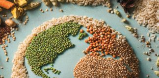 SA agriculture in an uncertain global trade environment