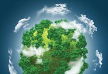 ’N BLIK IN DIE TOEKOMS: Hoe lyk graanmarkte in 2034?