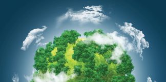 ’N BLIK IN DIE TOEKOMS: Hoe lyk graanmarkte in 2034?