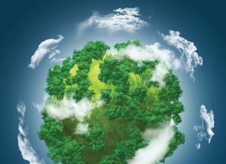 ’N BLIK IN DIE TOEKOMS: Hoe lyk graanmarkte in 2034?