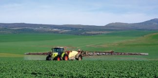 BEPERKING OP LANDBOUMIDDELS KAN PRODUSENTE LAAT KOPKRAP
