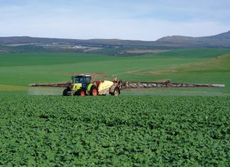 BEPERKING OP LANDBOUMIDDELS KAN PRODUSENTE LAAT KOPKRAP
