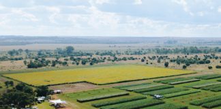 NWU CSA: a platform for innovation, research, and inclusive education