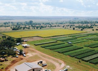 NWU CSA: a platform for innovation, research, and inclusive education