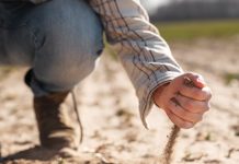 RISIKO’S wanneer in DROË GROND geplant word