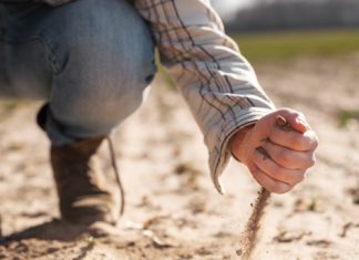 RISIKO’S wanneer in DROË GROND geplant word